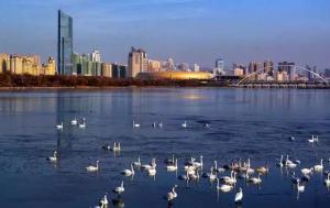 三門峽又一網(wǎng)紅景點，確定不來pick一下？